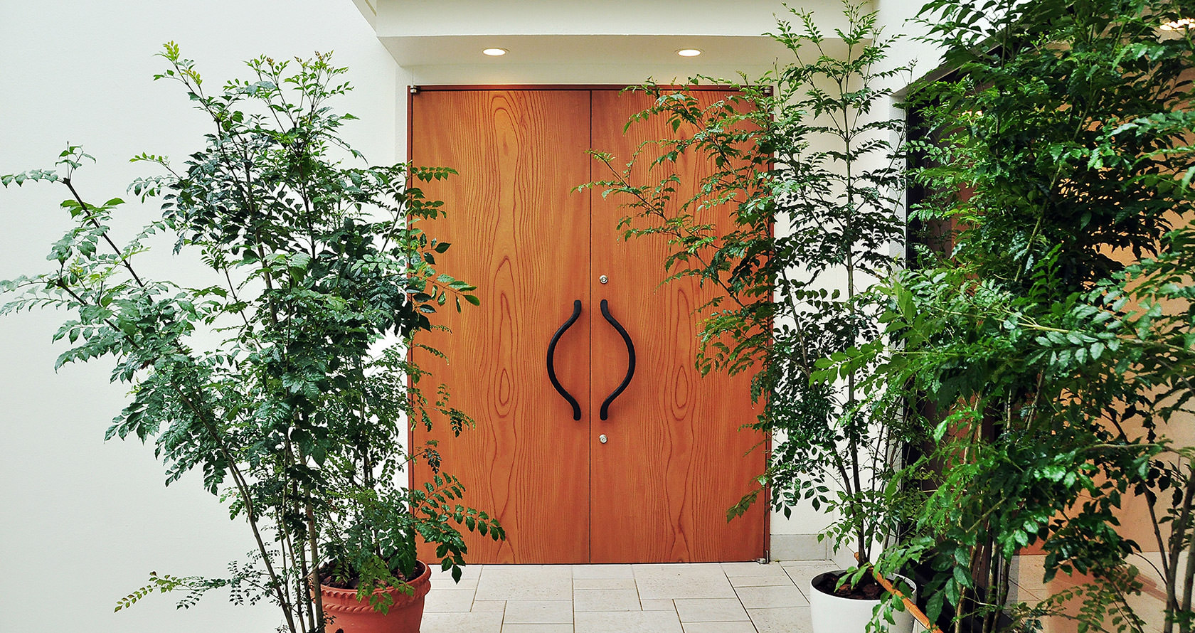 DAIEIMOKKO:Fire-Rated Wooden Door:WOODWORK COMPANY IN JAPAN